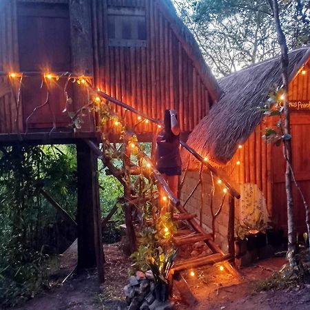 Sanctuaria Treehouses Busuanga Eksteriør billede