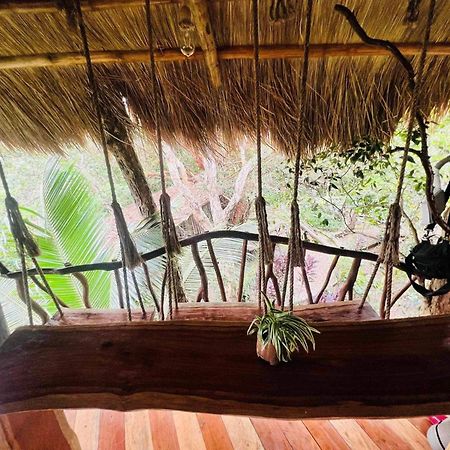 Sanctuaria Treehouses Busuanga Eksteriør billede