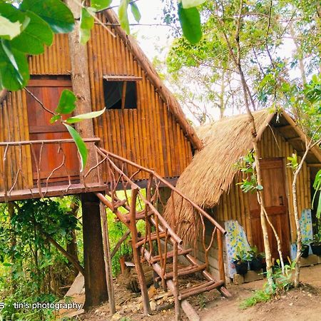 Sanctuaria Treehouses Busuanga Eksteriør billede