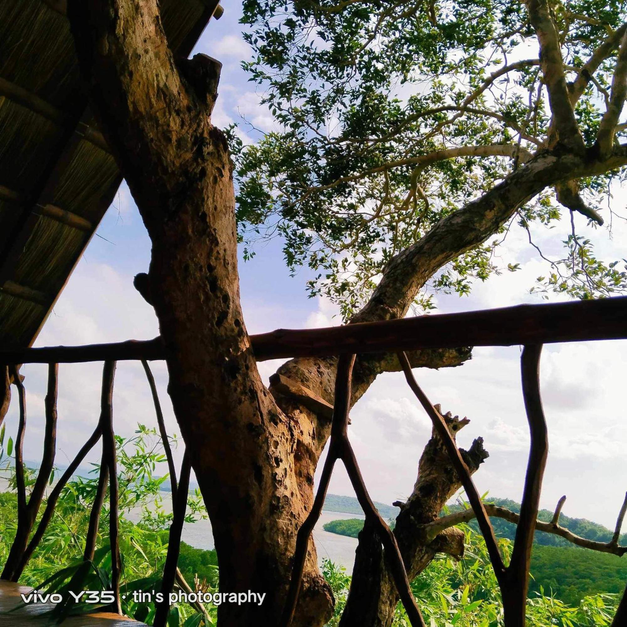 Sanctuaria Treehouses Busuanga Eksteriør billede