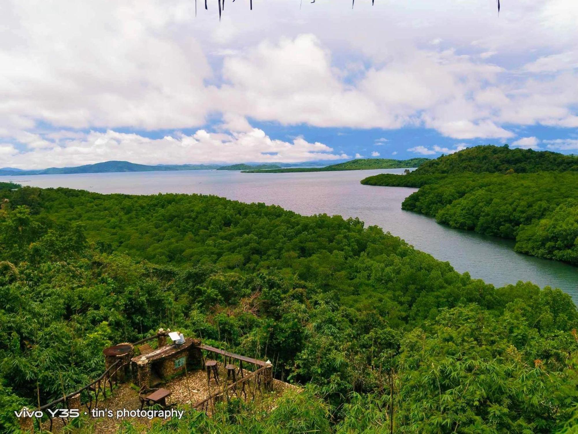 Sanctuaria Treehouses Busuanga Eksteriør billede