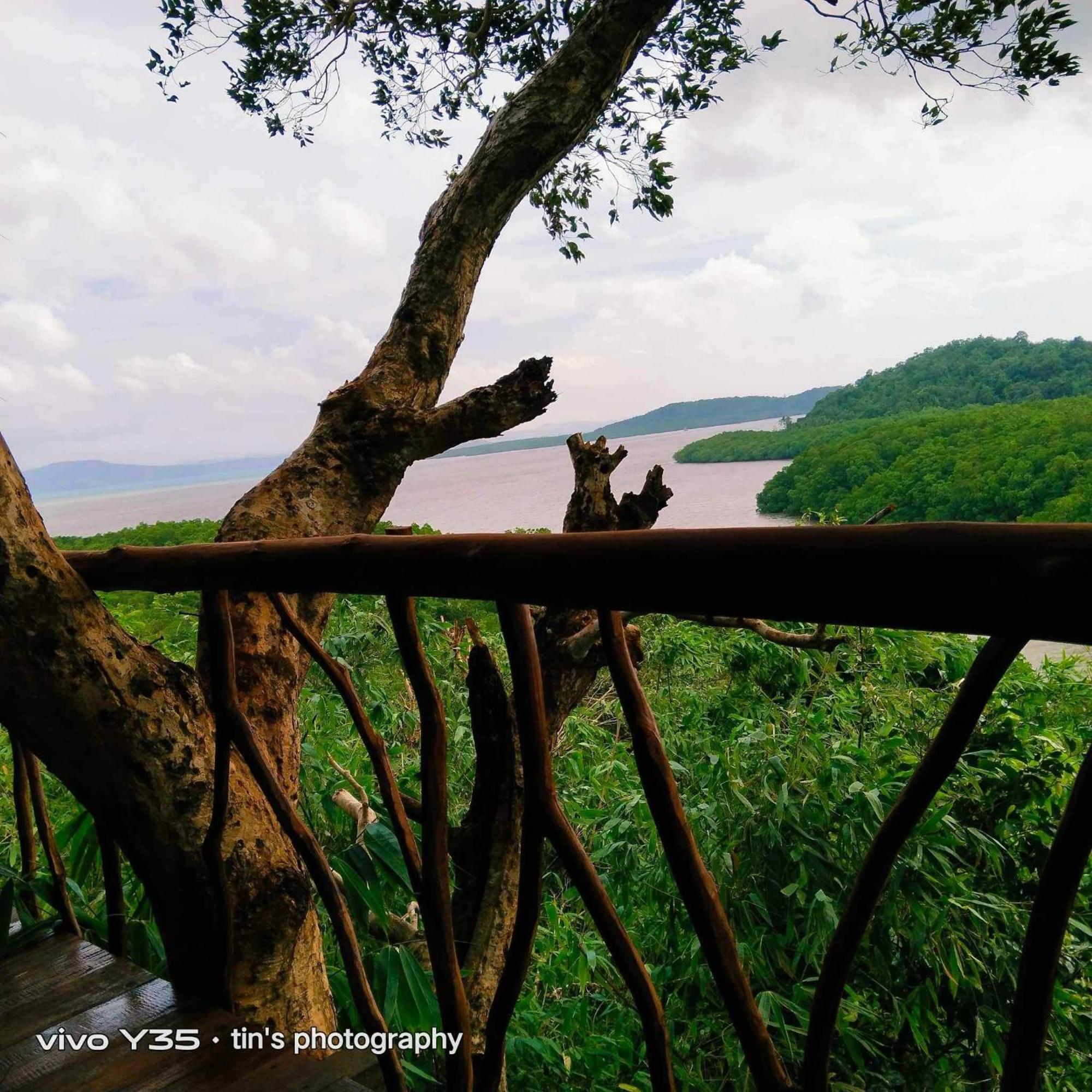 Sanctuaria Treehouses Busuanga Eksteriør billede
