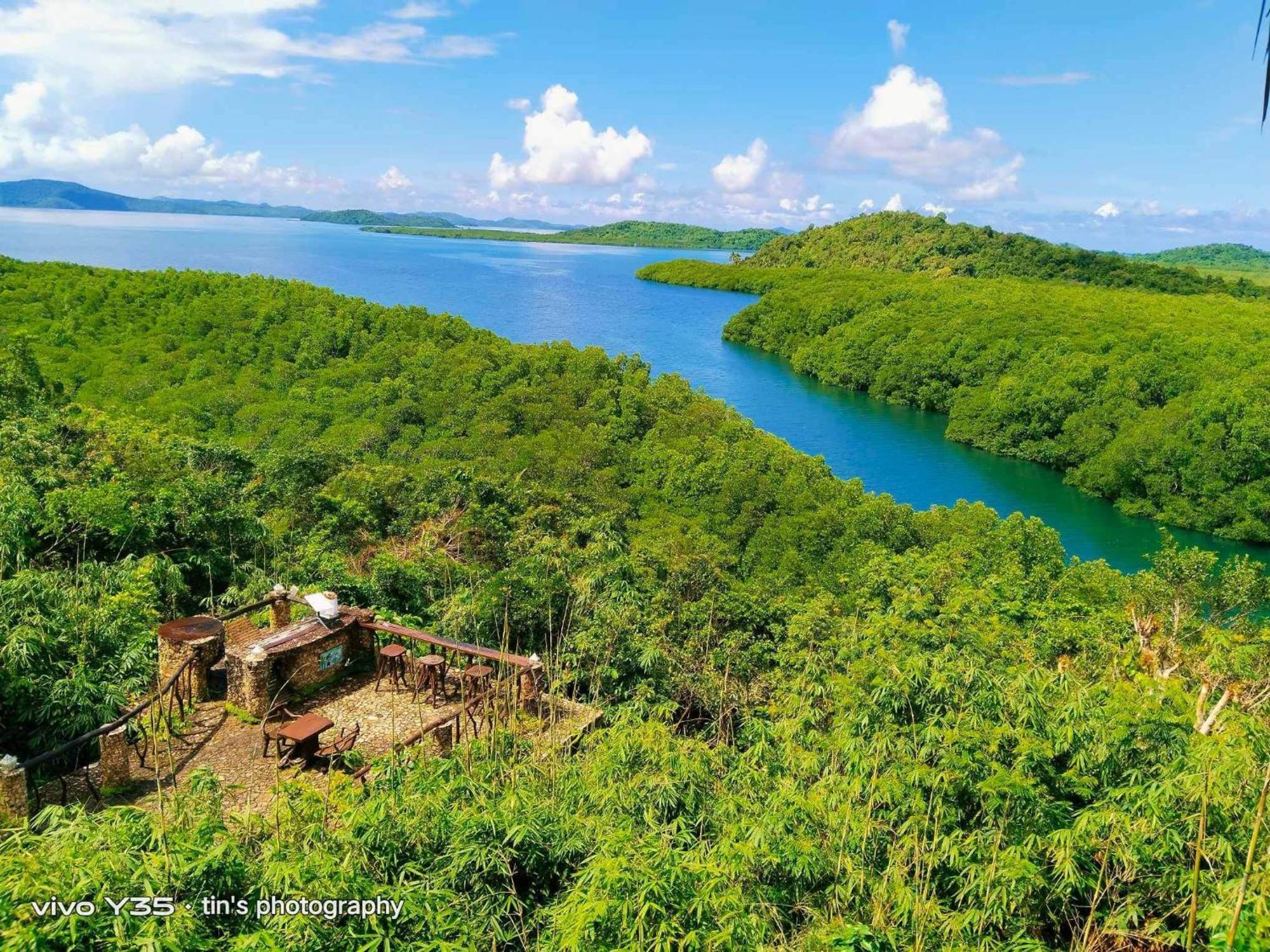 Sanctuaria Treehouses Busuanga Eksteriør billede