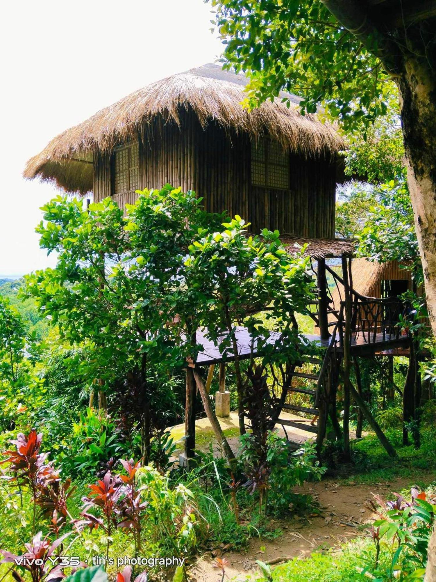 Sanctuaria Treehouses Busuanga Eksteriør billede