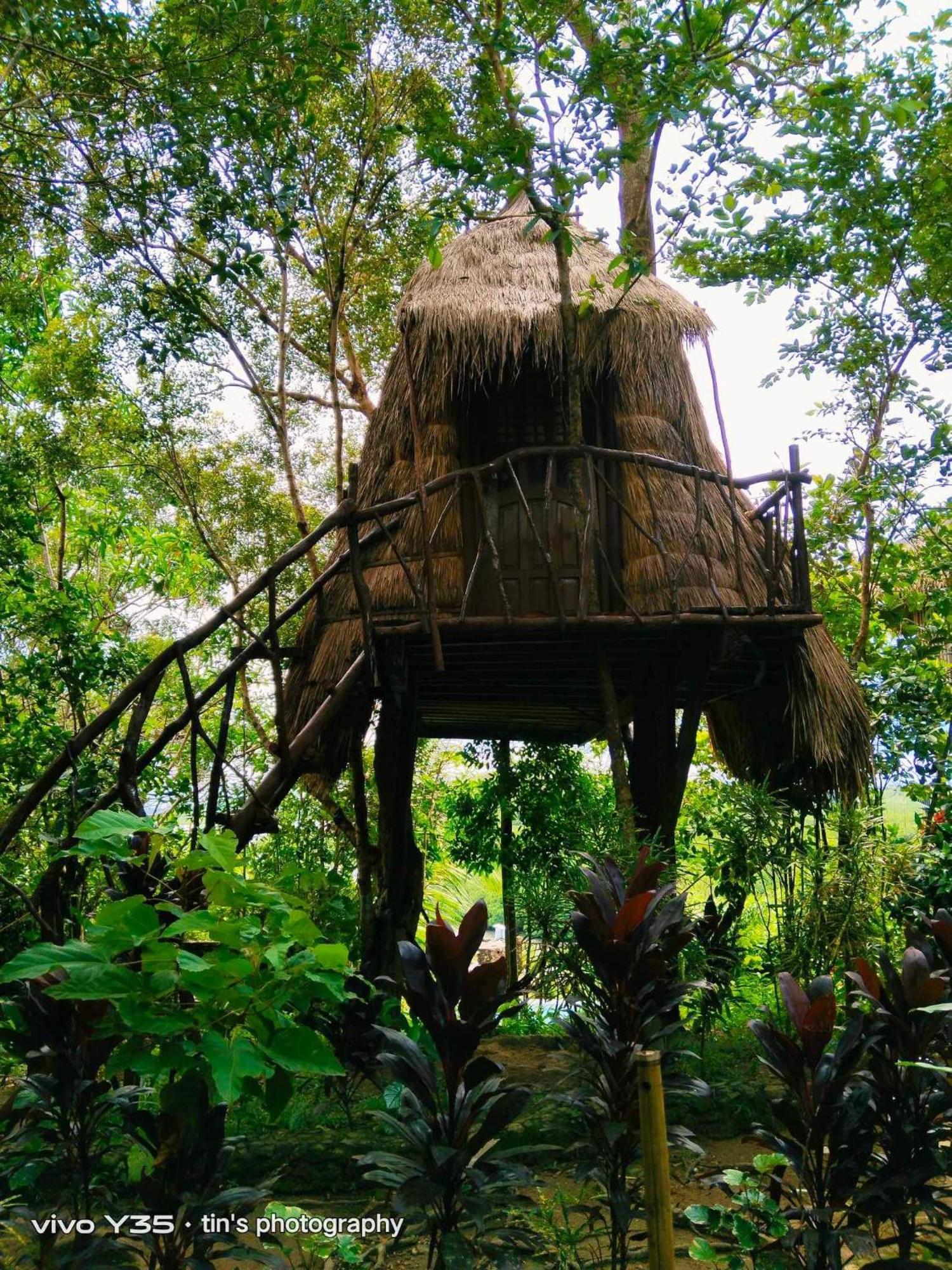 Sanctuaria Treehouses Busuanga Eksteriør billede