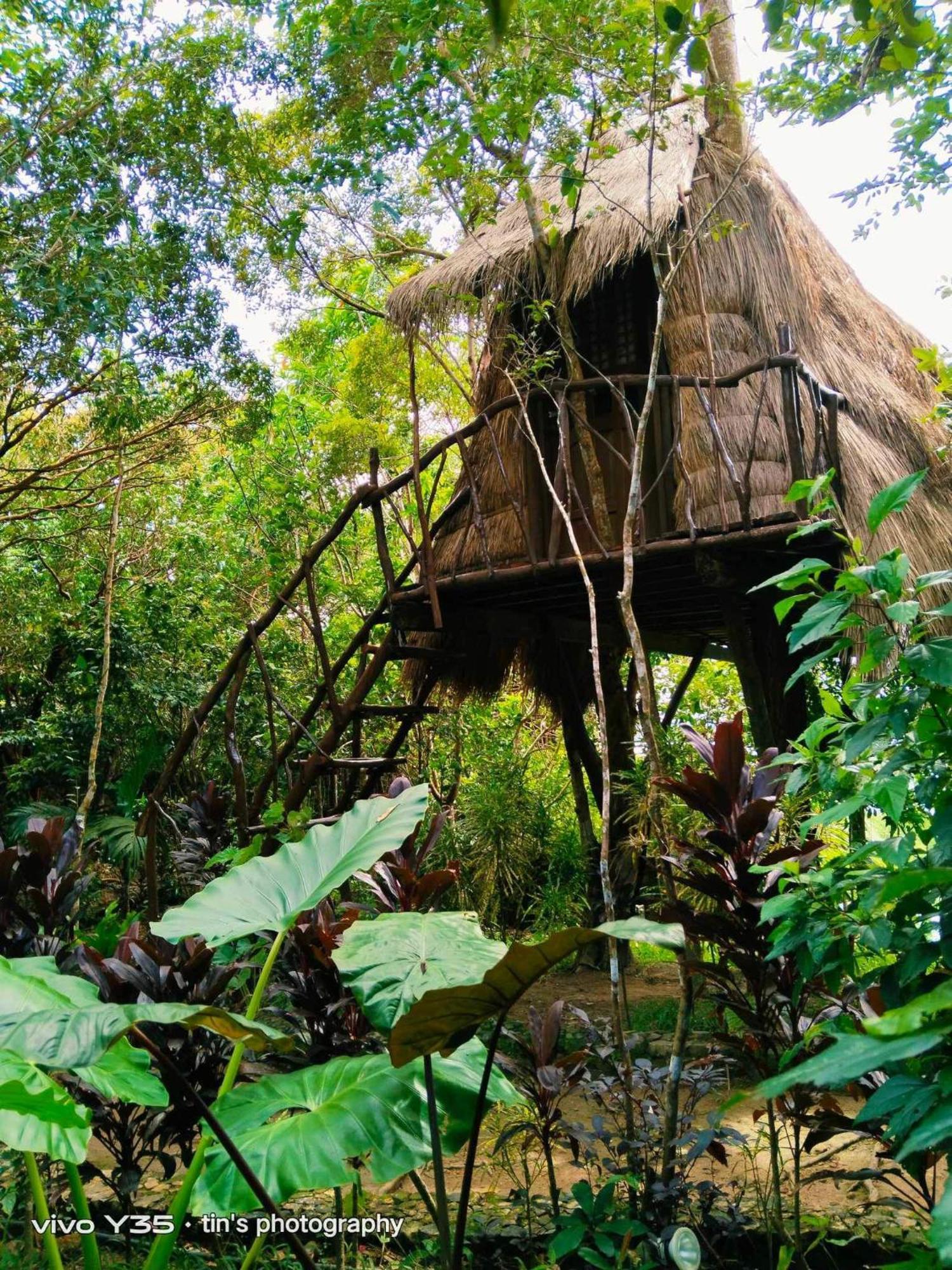 Sanctuaria Treehouses Busuanga Eksteriør billede