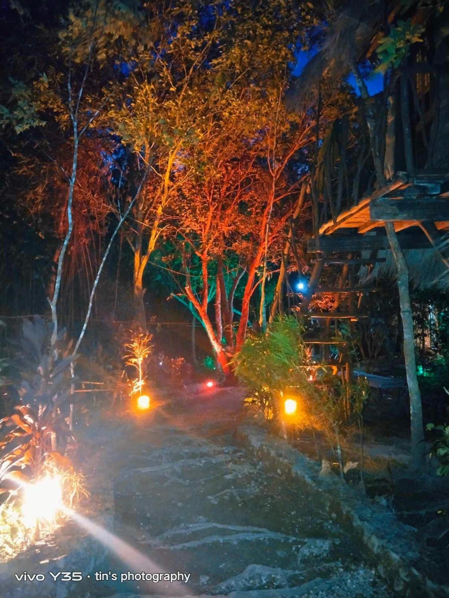 Sanctuaria Treehouses Busuanga Eksteriør billede