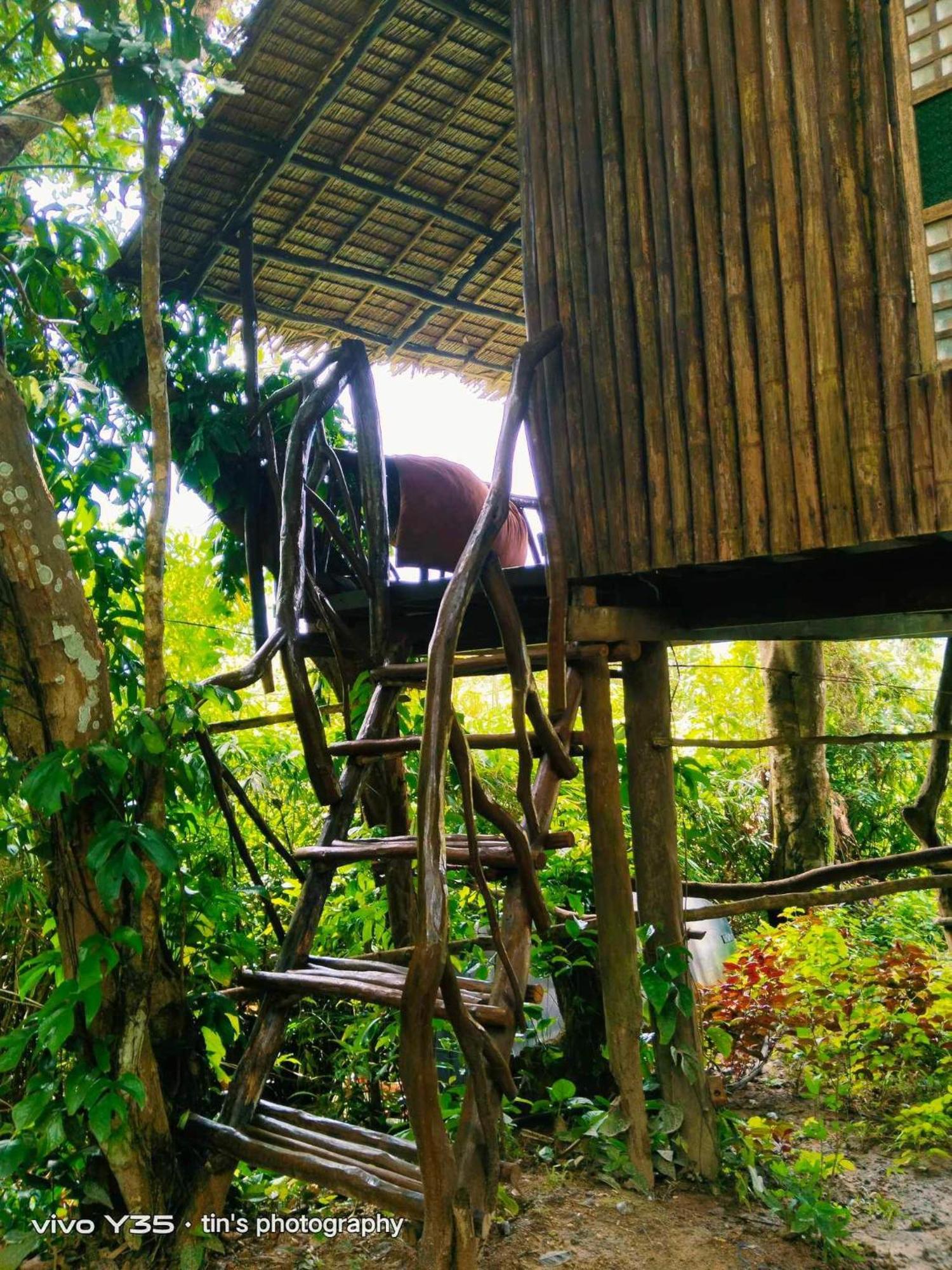 Sanctuaria Treehouses Busuanga Eksteriør billede