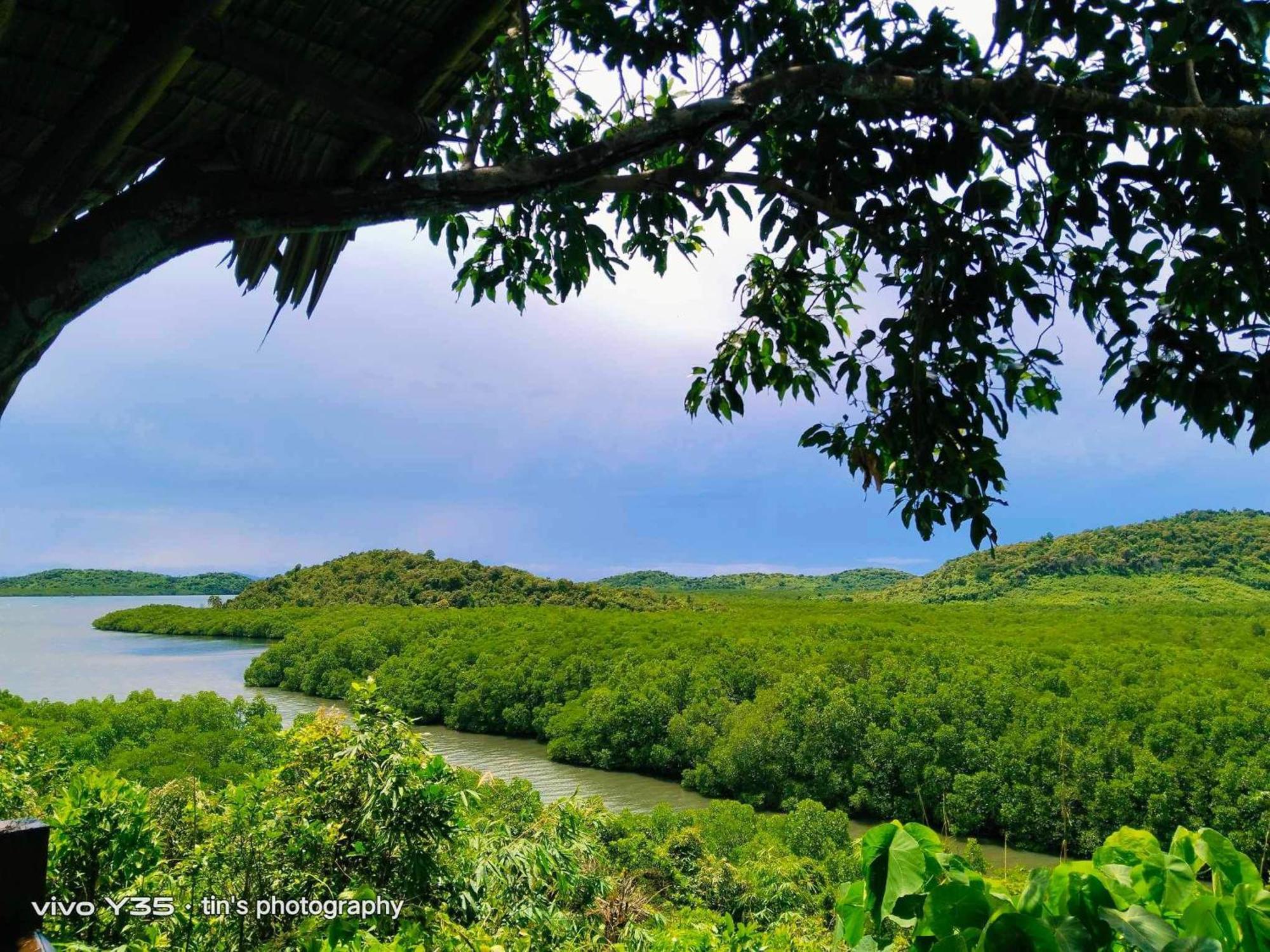 Sanctuaria Treehouses Busuanga Eksteriør billede