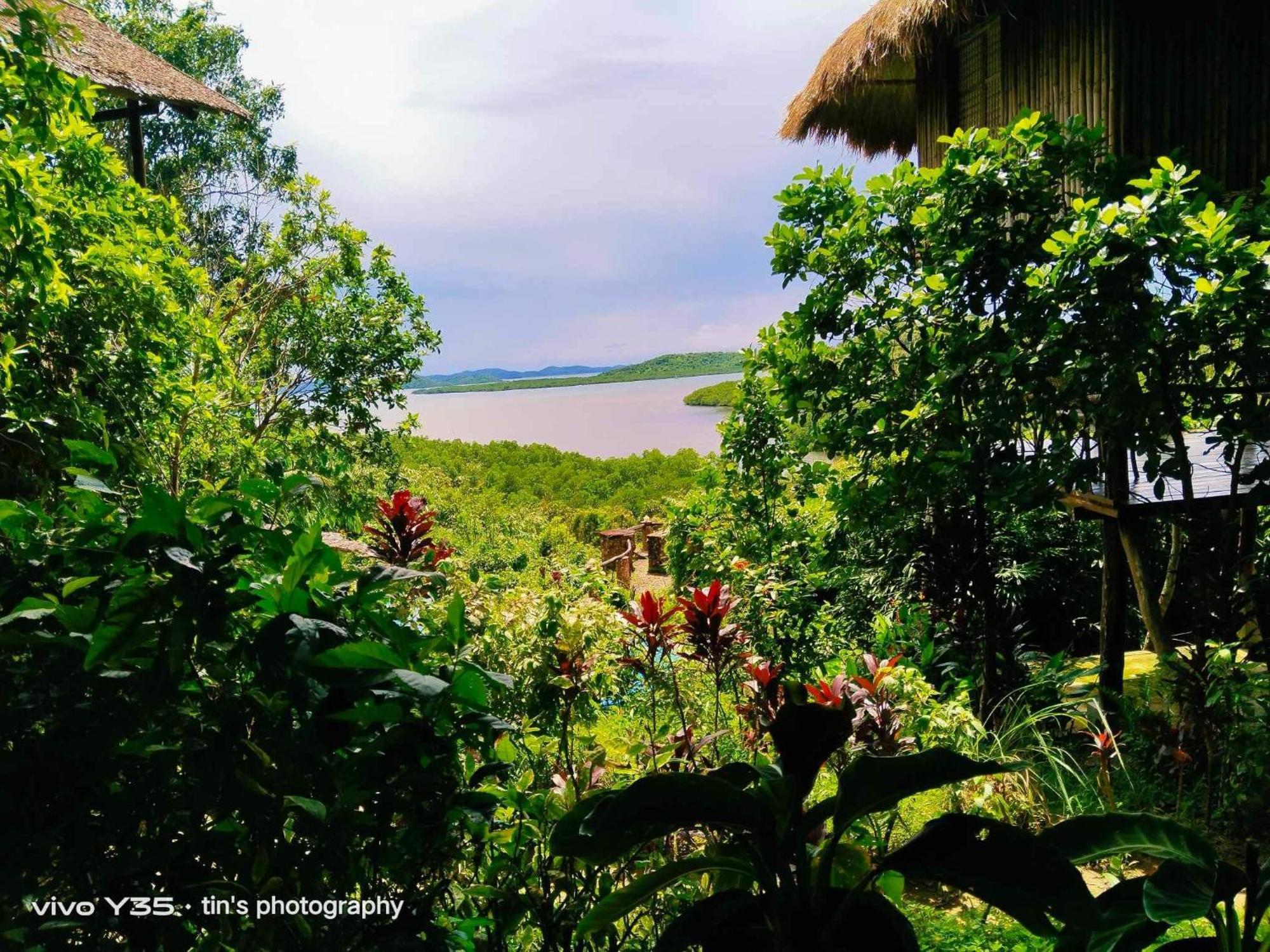 Sanctuaria Treehouses Busuanga Eksteriør billede