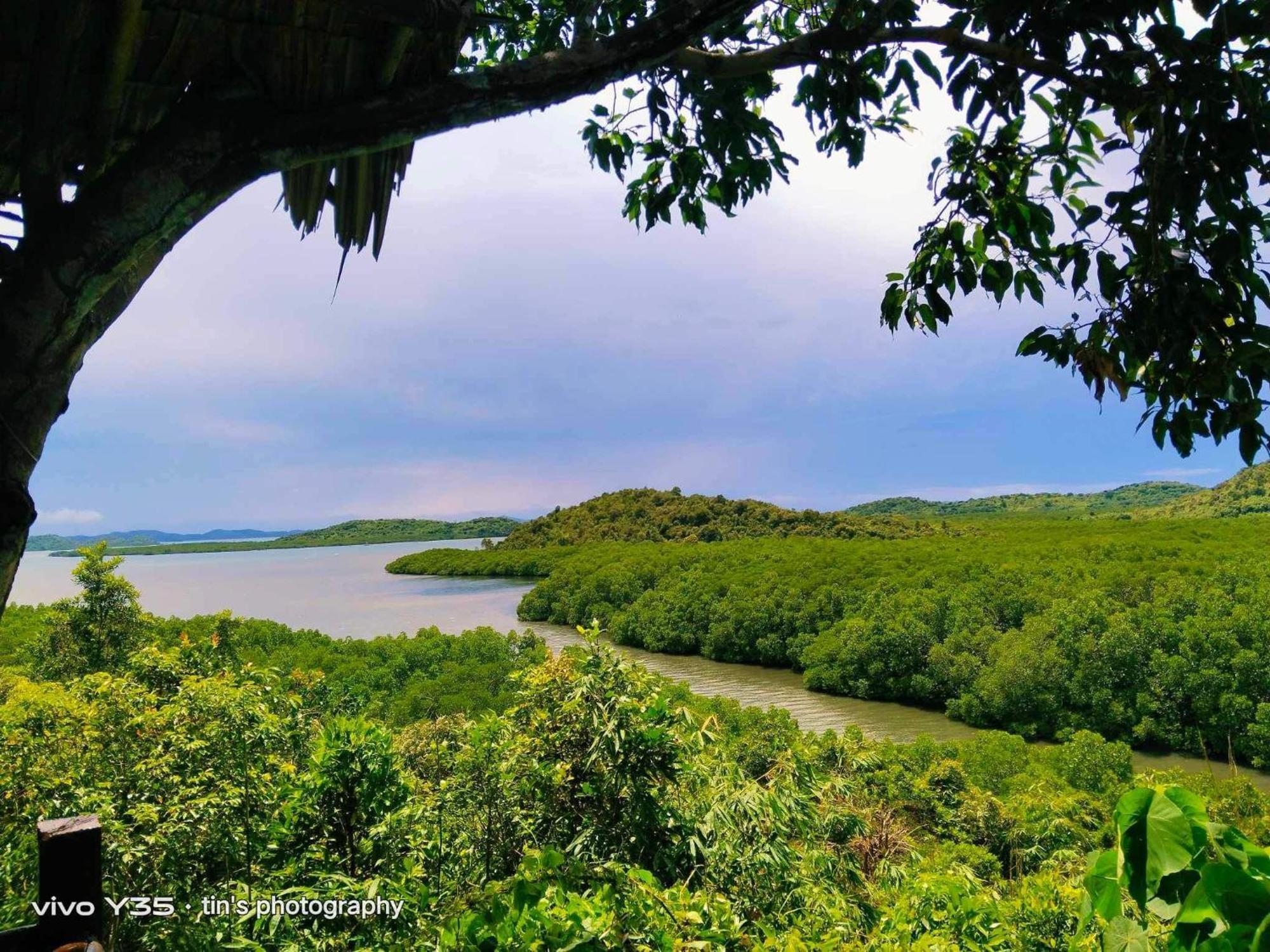 Sanctuaria Treehouses Busuanga Eksteriør billede