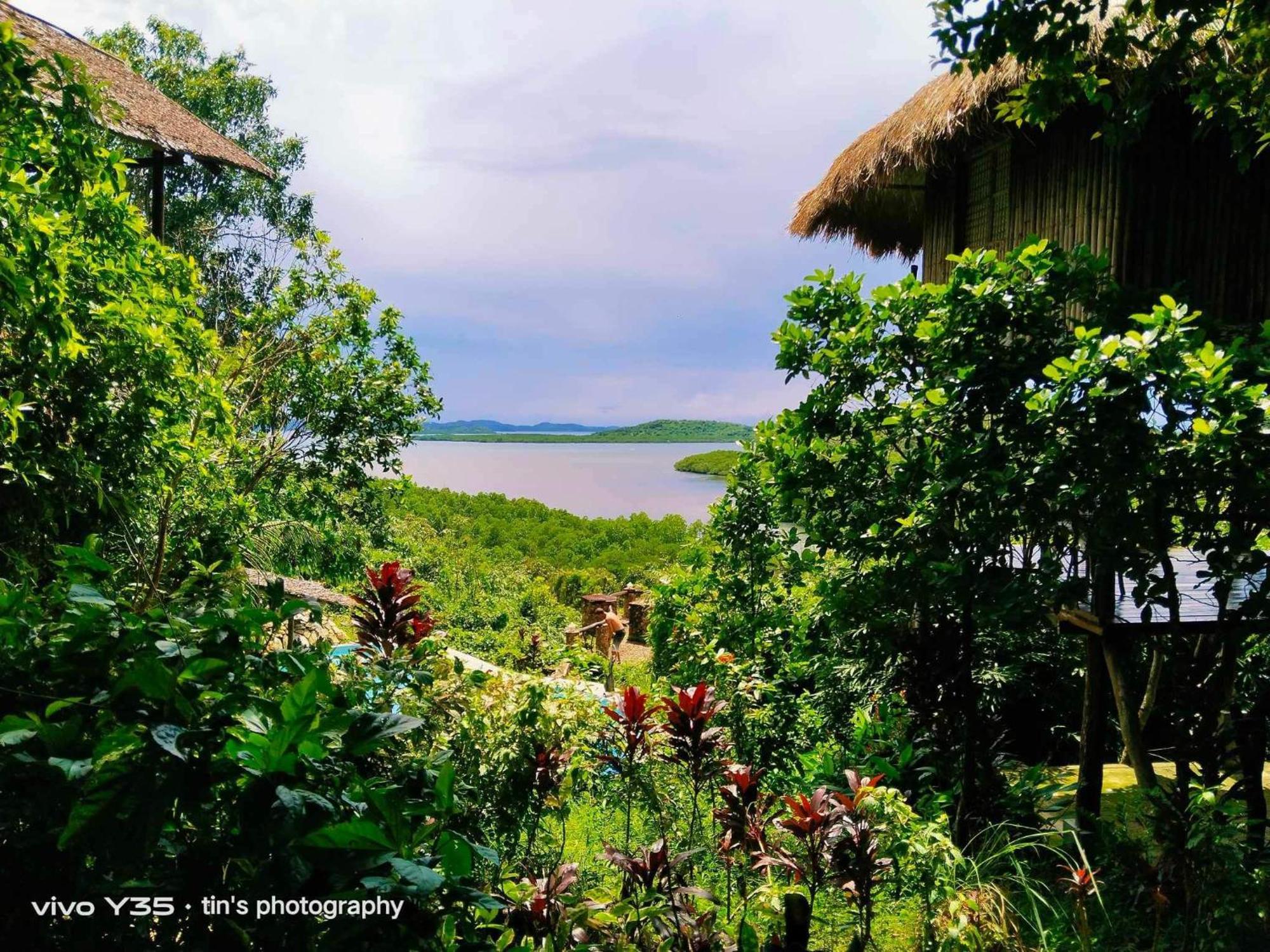 Sanctuaria Treehouses Busuanga Eksteriør billede