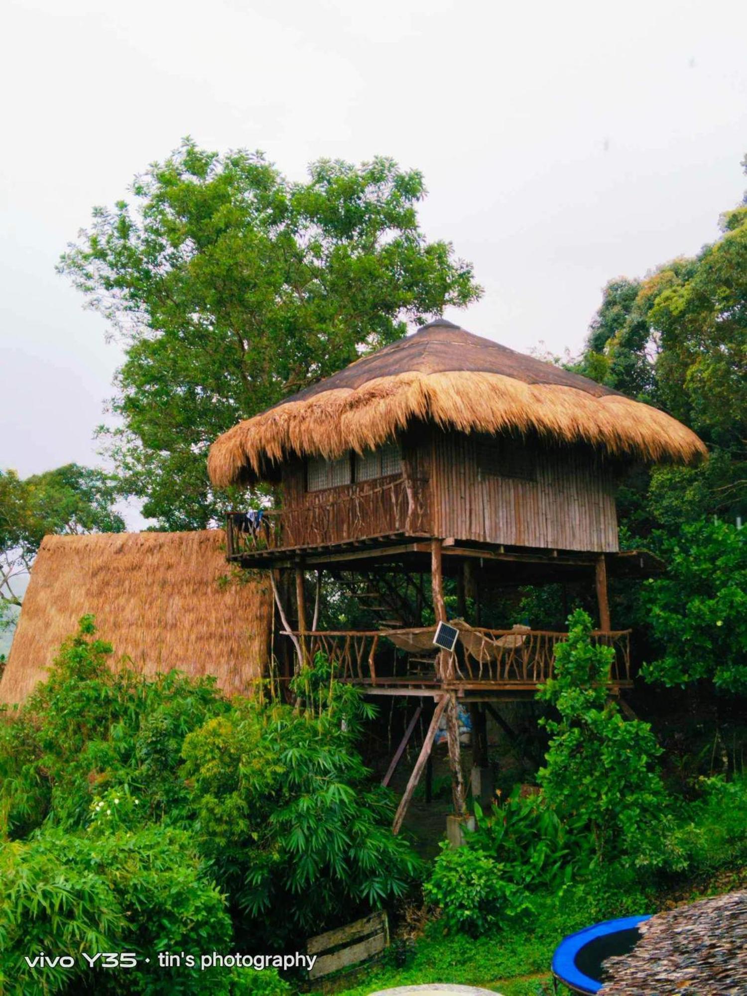 Sanctuaria Treehouses Busuanga Eksteriør billede