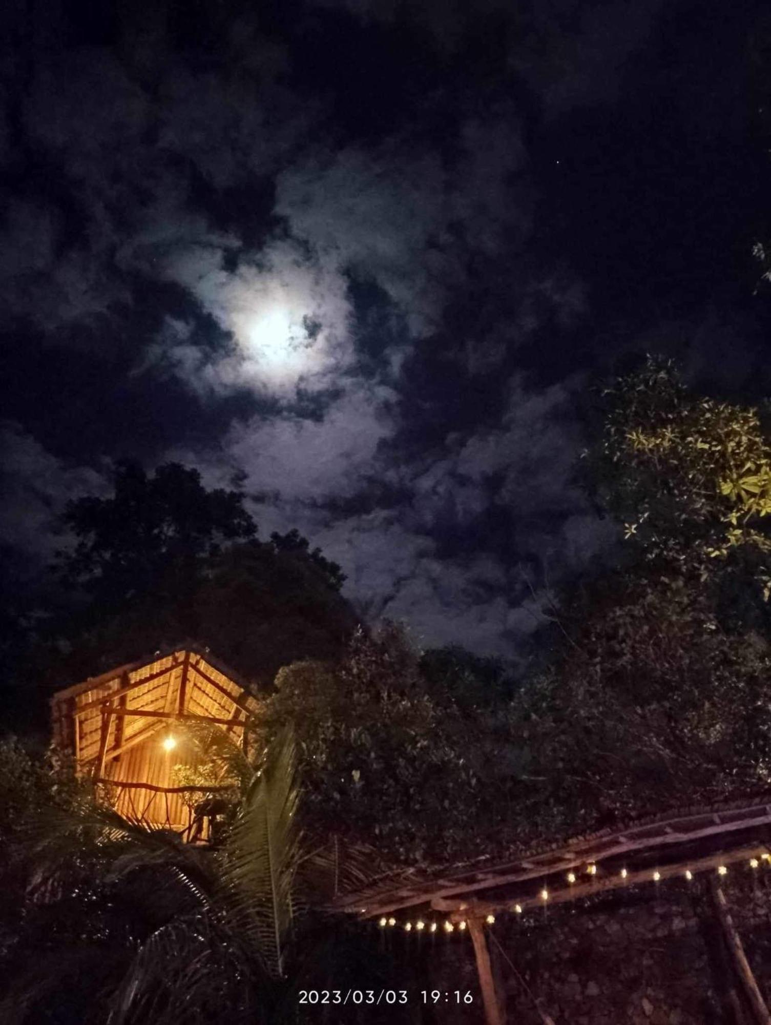 Sanctuaria Treehouses Busuanga Eksteriør billede