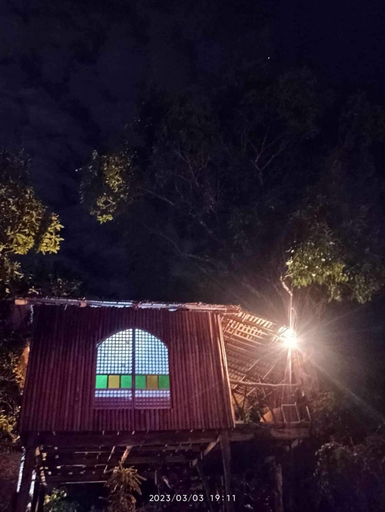 Sanctuaria Treehouses Busuanga Eksteriør billede