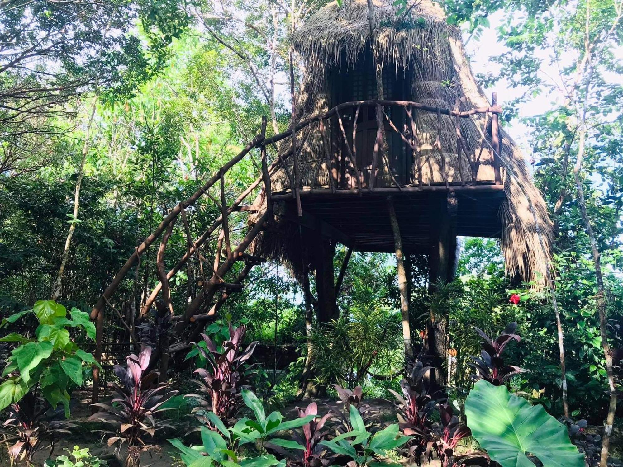 Sanctuaria Treehouses Busuanga Eksteriør billede