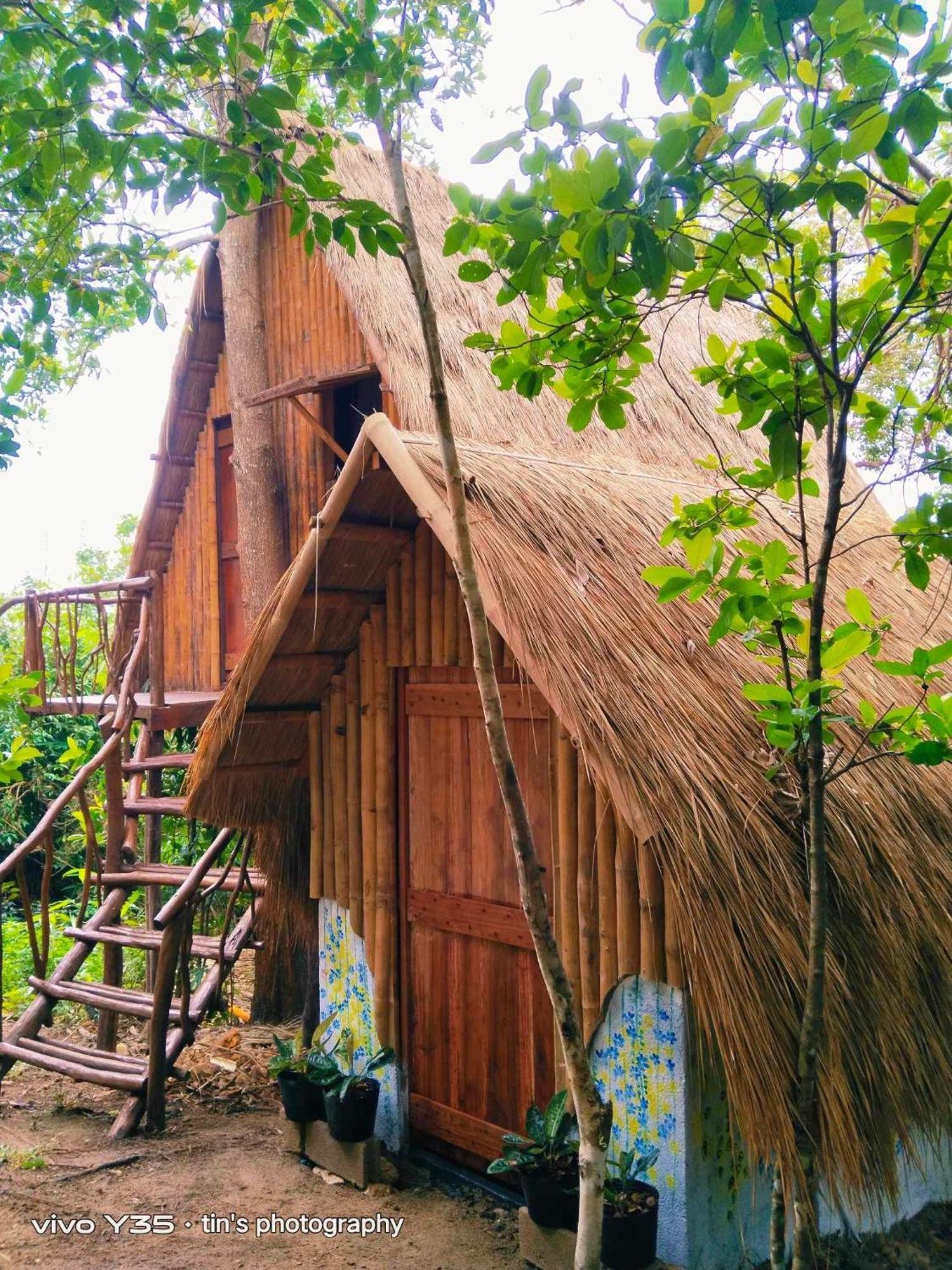 Sanctuaria Treehouses Busuanga Eksteriør billede
