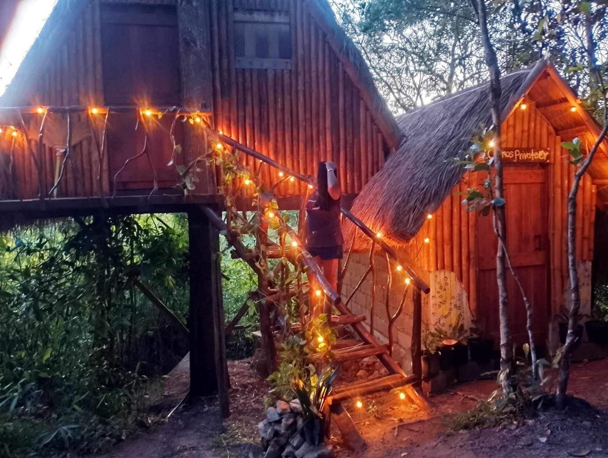 Sanctuaria Treehouses Busuanga Eksteriør billede