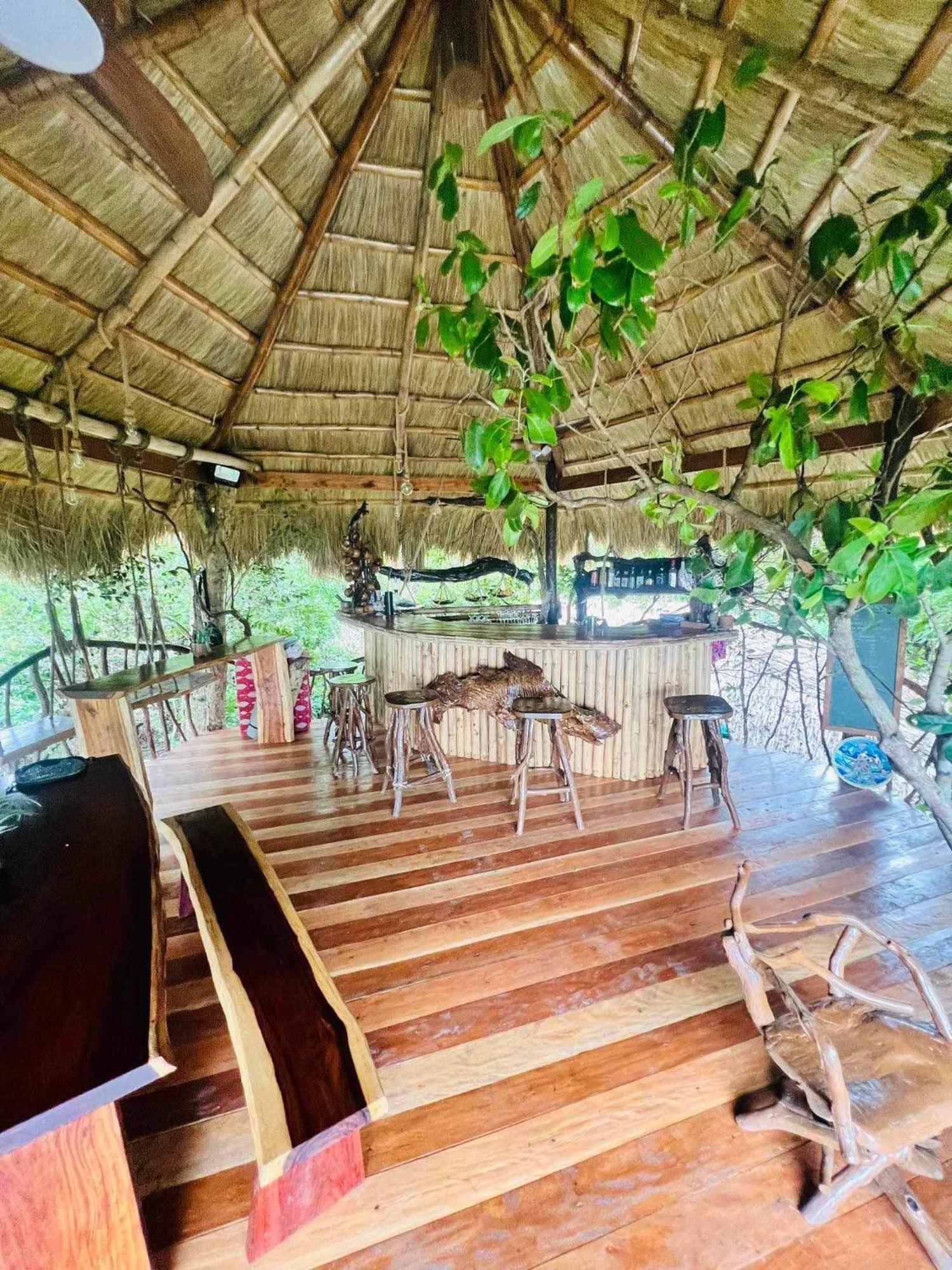 Sanctuaria Treehouses Busuanga Eksteriør billede
