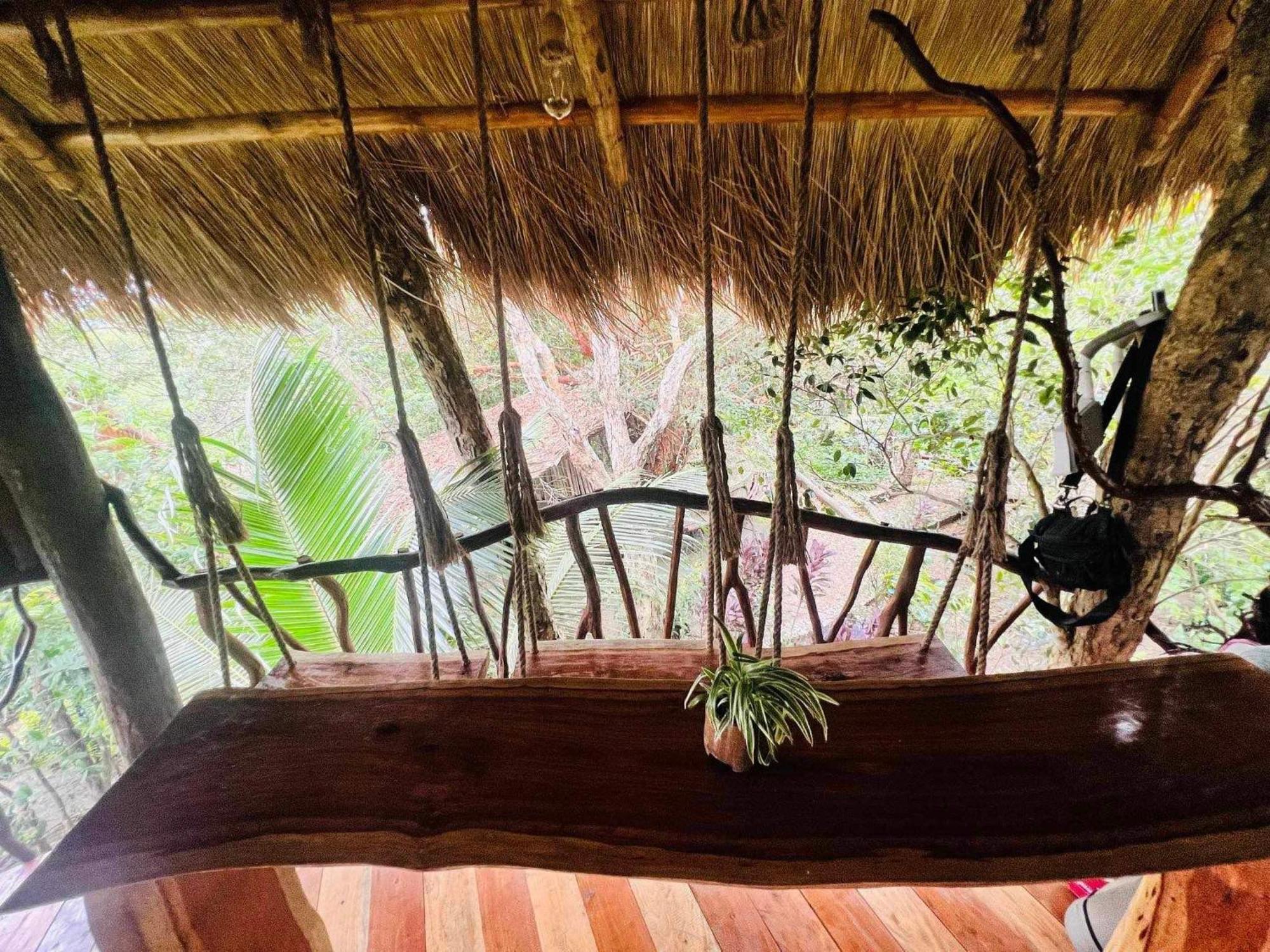Sanctuaria Treehouses Busuanga Eksteriør billede
