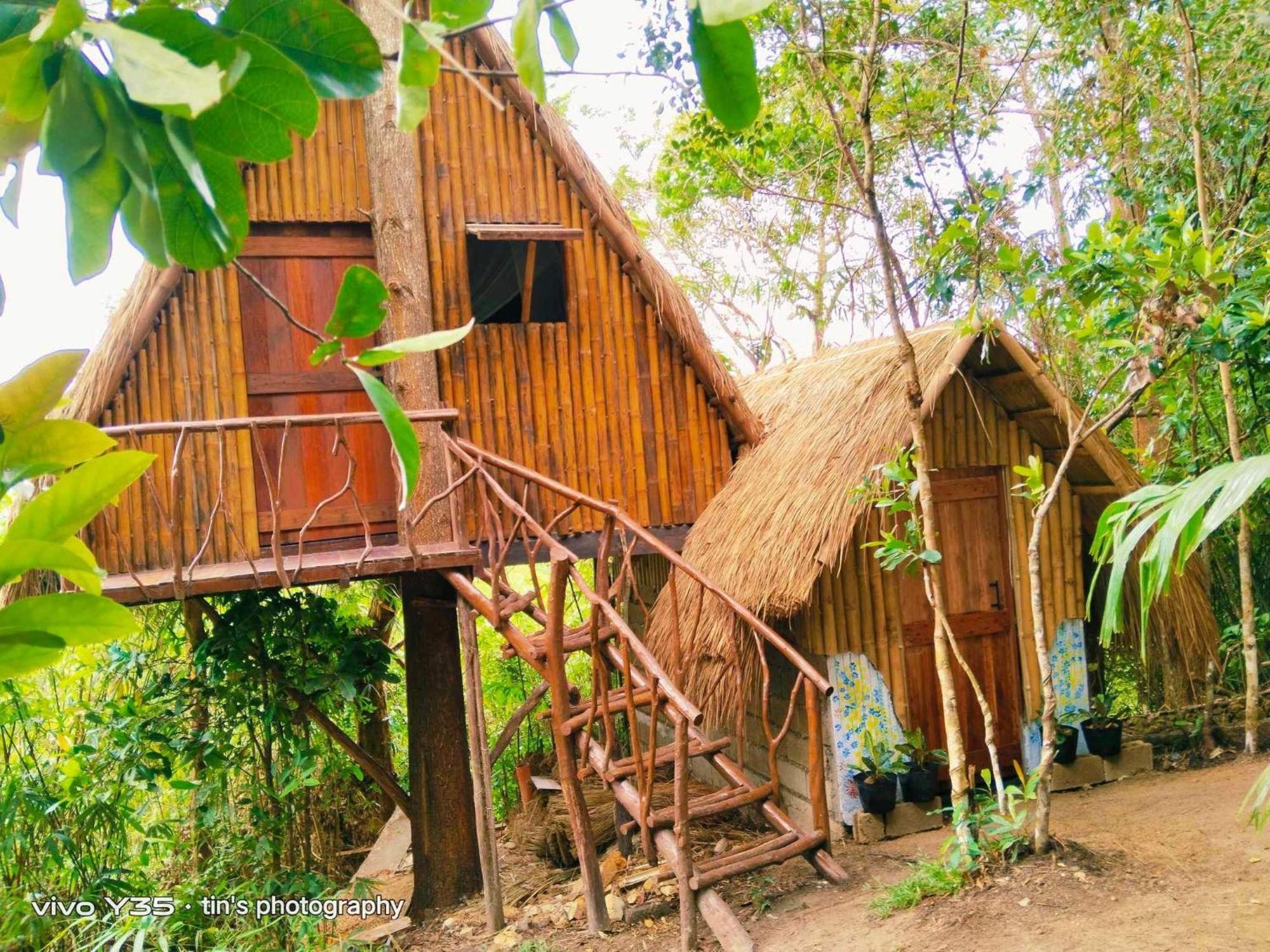Sanctuaria Treehouses Busuanga Eksteriør billede